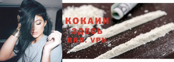 шишки Дмитриев