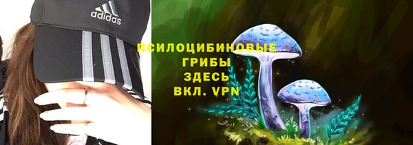 твердый Горняк