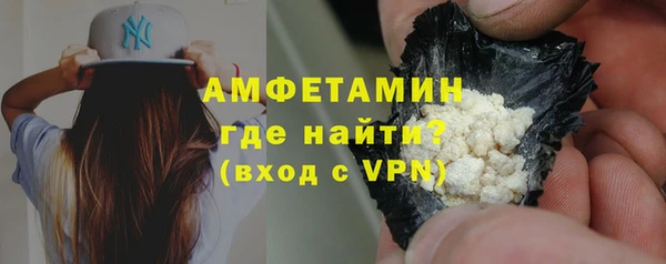 шишки Дмитриев