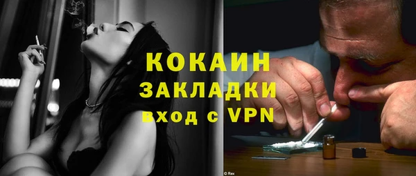шишки Дмитриев