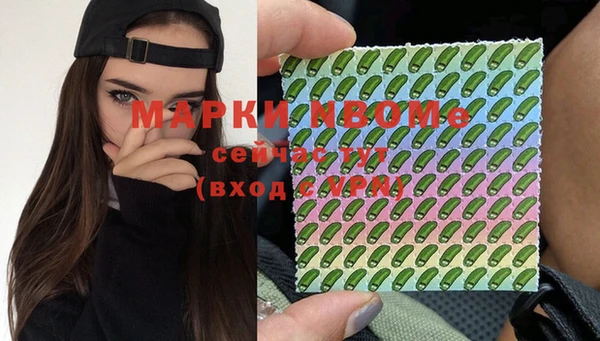 шишки Дмитриев