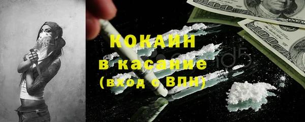 шишки Дмитриев
