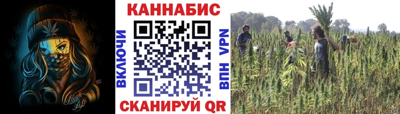 Купить  Лихославль  Бошки марихуана Ganja 